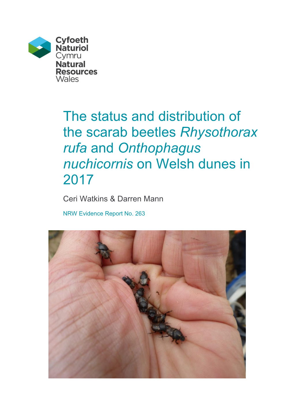 The Status and Distribution of the Scarab Beetles Rhysothorax Rufa and Onthophagus Nuchicornis on Welsh Dunes In