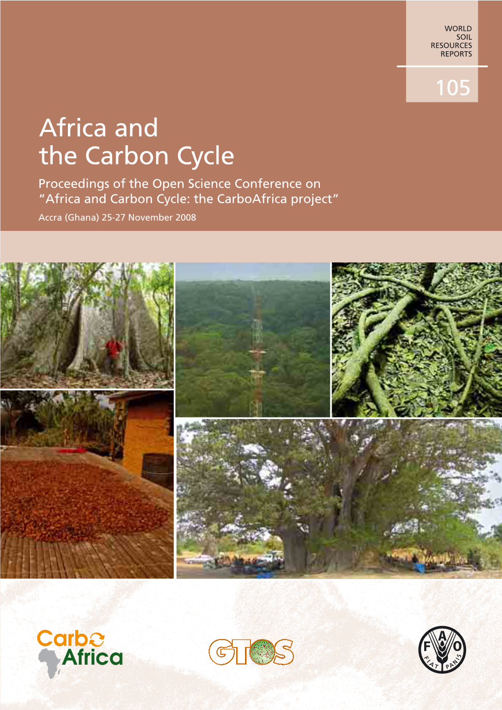 Africa and the Carbon Cycle