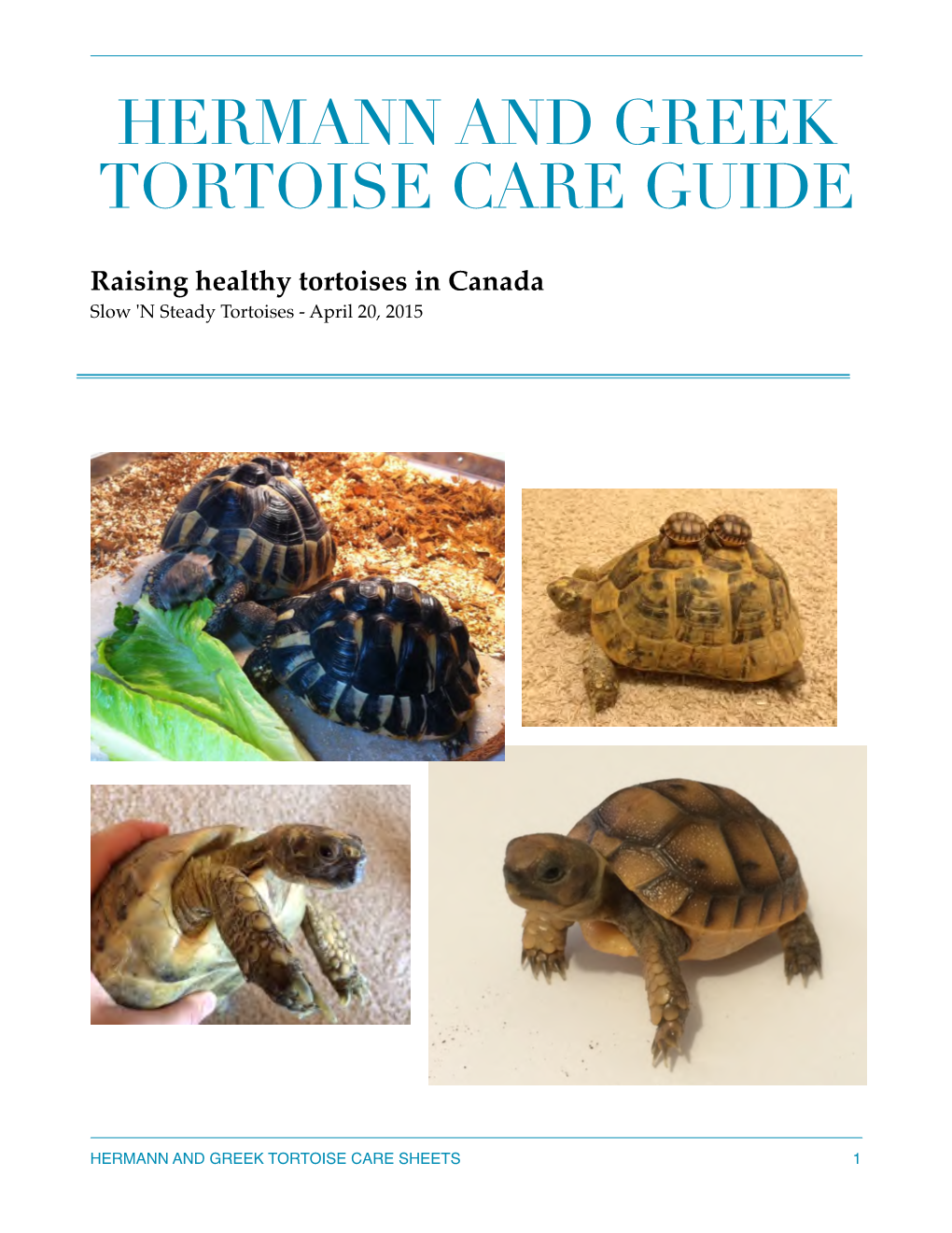 SNS TORTOISES Care Guide April 15 Copy
