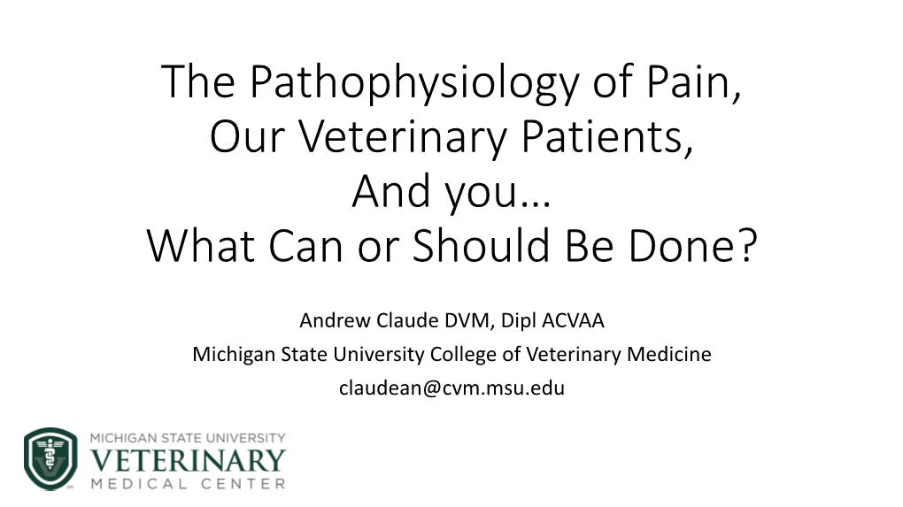 The Pathophysiology of Pain, Our Veterinary Patients, and You… What Can Or Should Be Done?