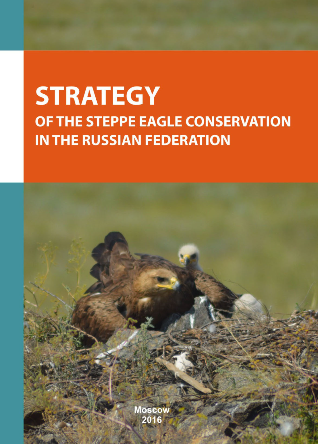 Strategy of the Steppe Eagle Conservation in the Russian Federation