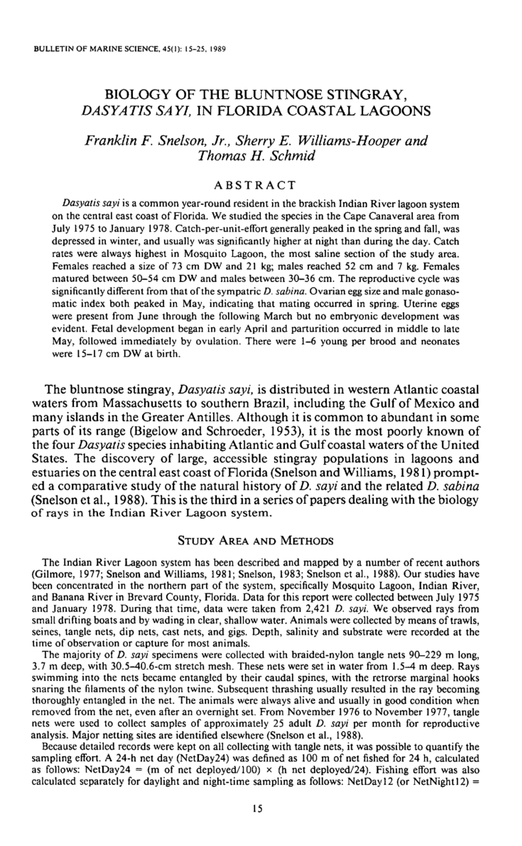 Biology of the Bluntnose Stingray, <I>Dasyatis Sayi,</I> in Florida