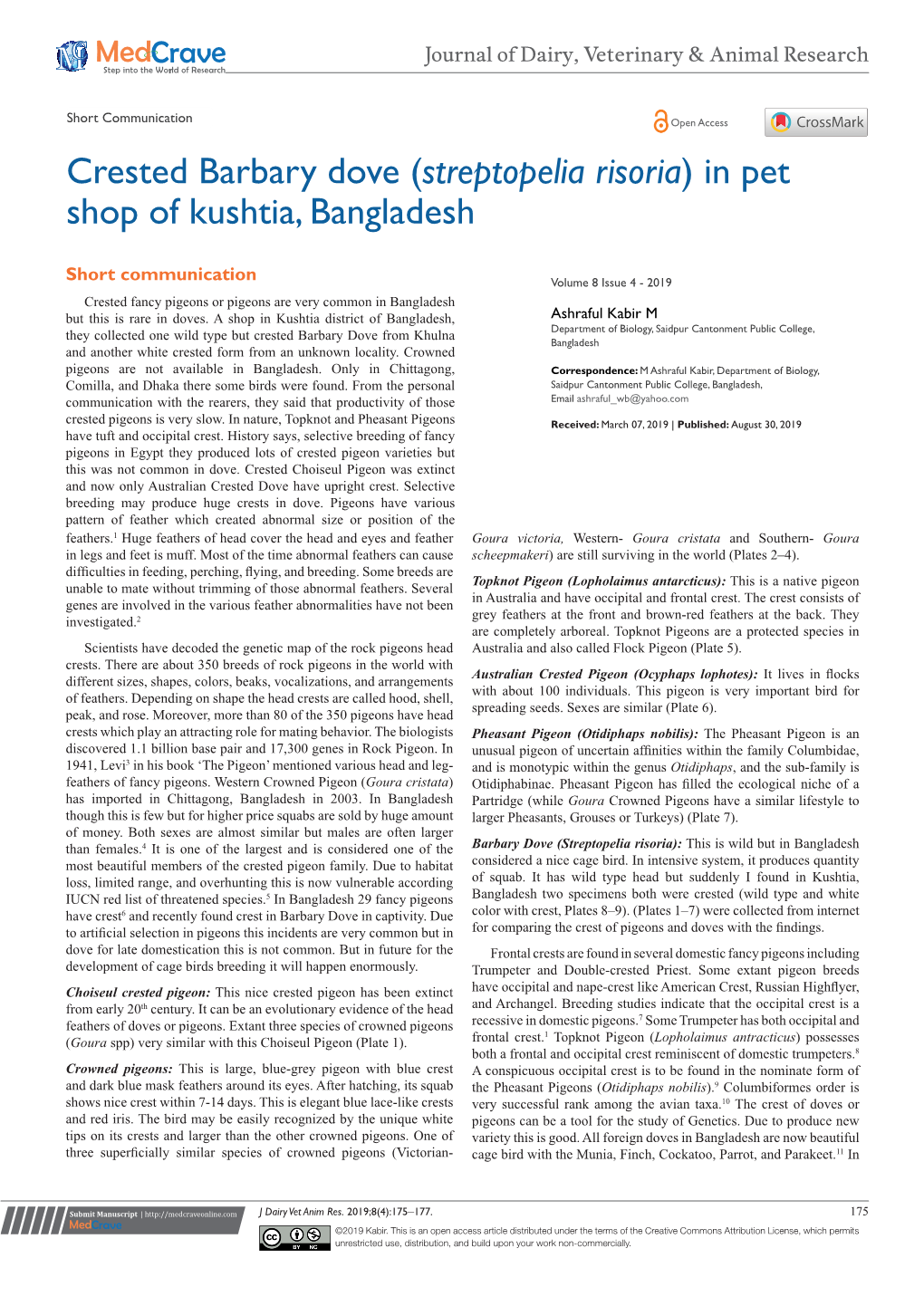Crested Barbary Dove (Streptopelia Risoria) in Pet Shop of Kushtia, Bangladesh