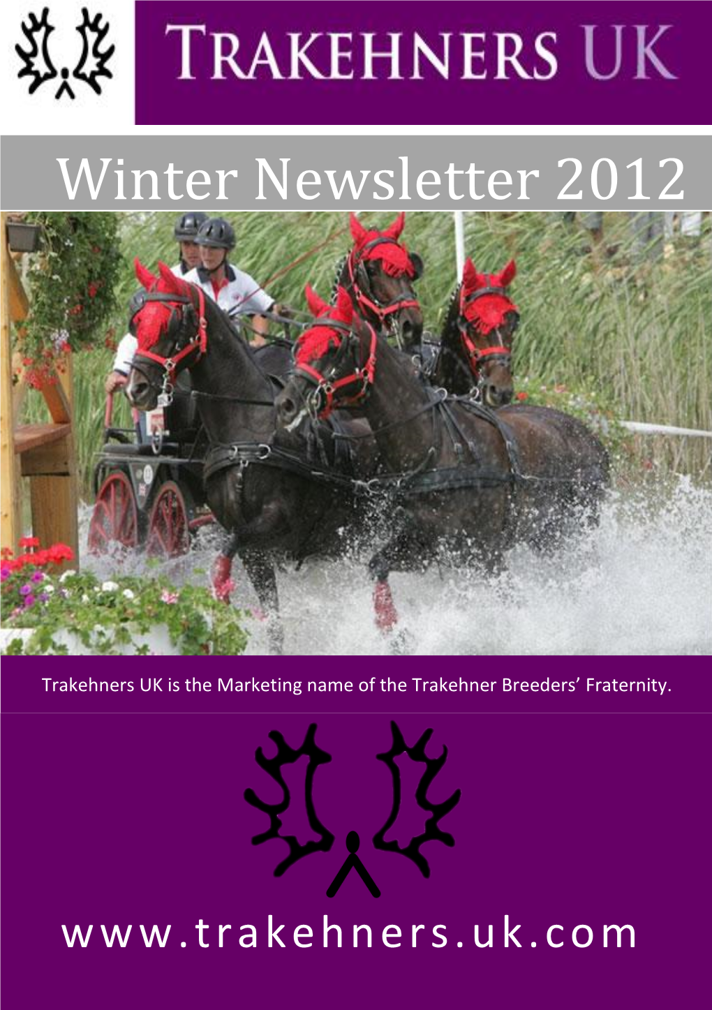 Winter Newsletter 2012