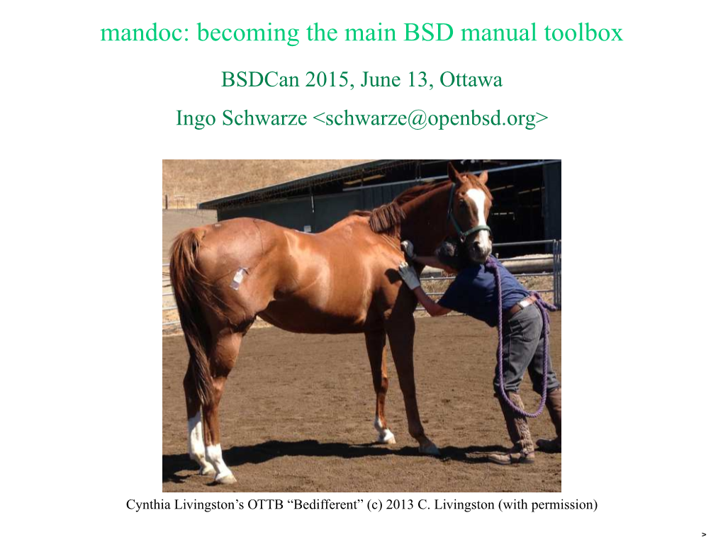 Mandoc: Becoming the Main BSD Manual Toolbox