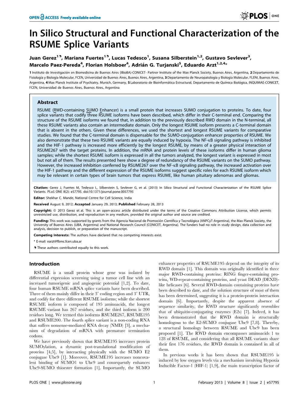 In Silico Structural and Functional Characterization of the RSUME Splice Variants