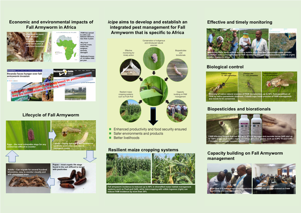 Economic and Environmental Impacts of Fall Armyworm in Africa