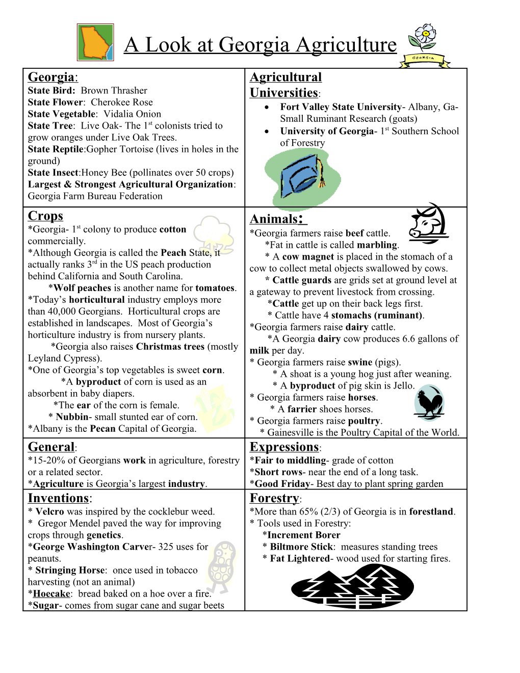 A Look at Georgia Agriculture