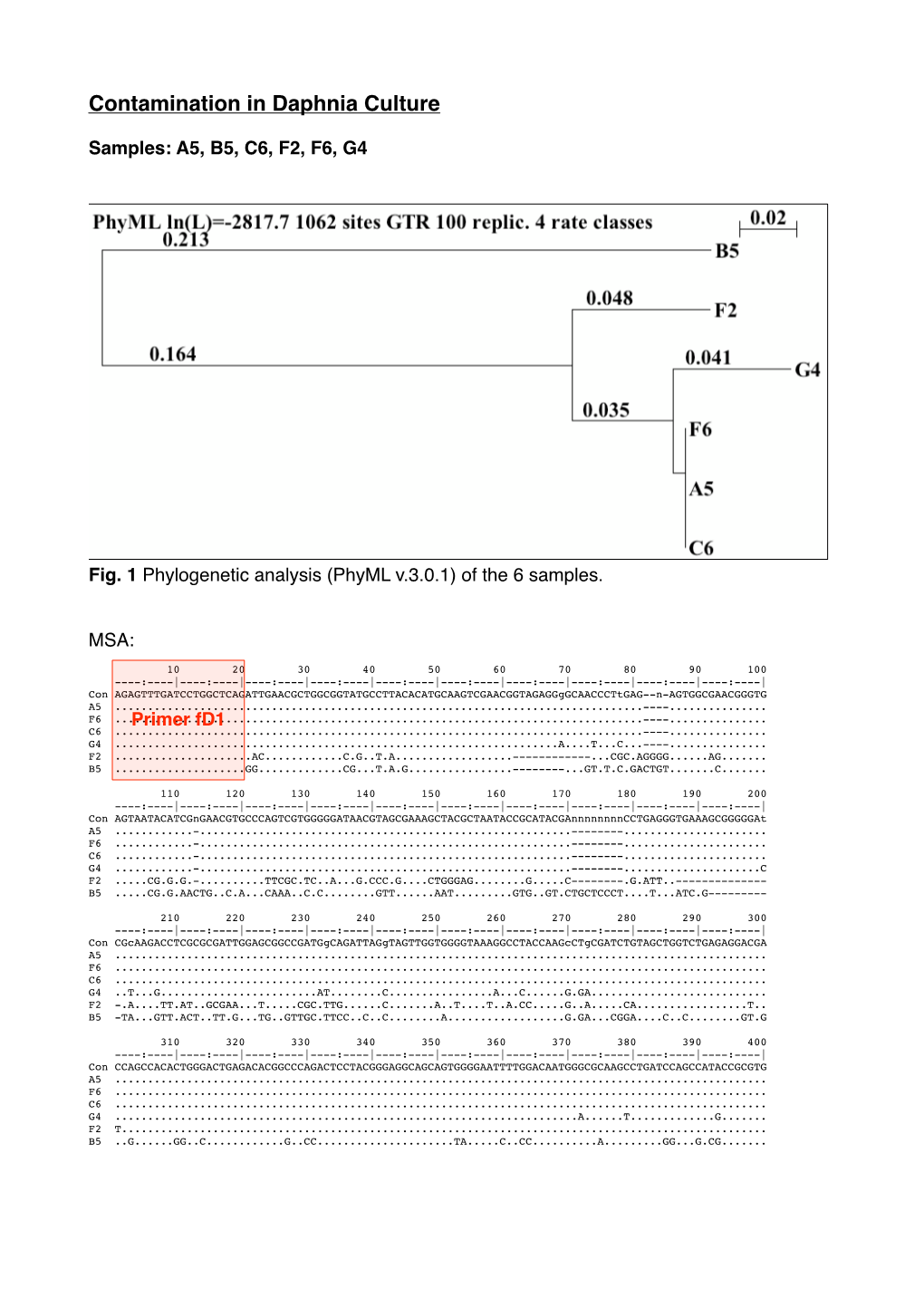 Contamination in Daphnia Culture