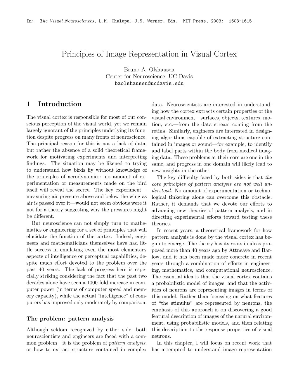 Principles of Image Representation in Visual Cortex