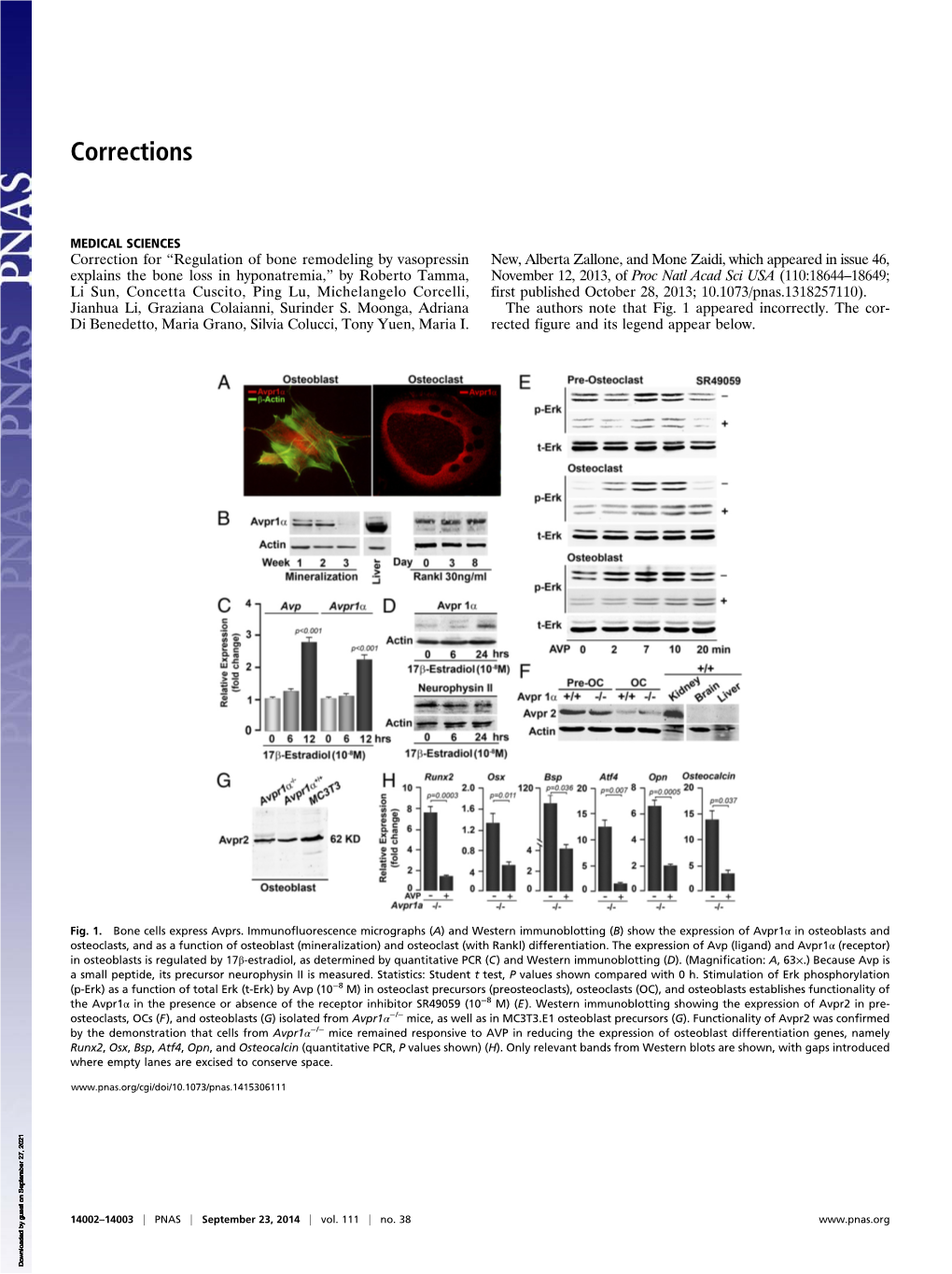 Pnas11138correction 14002..14003