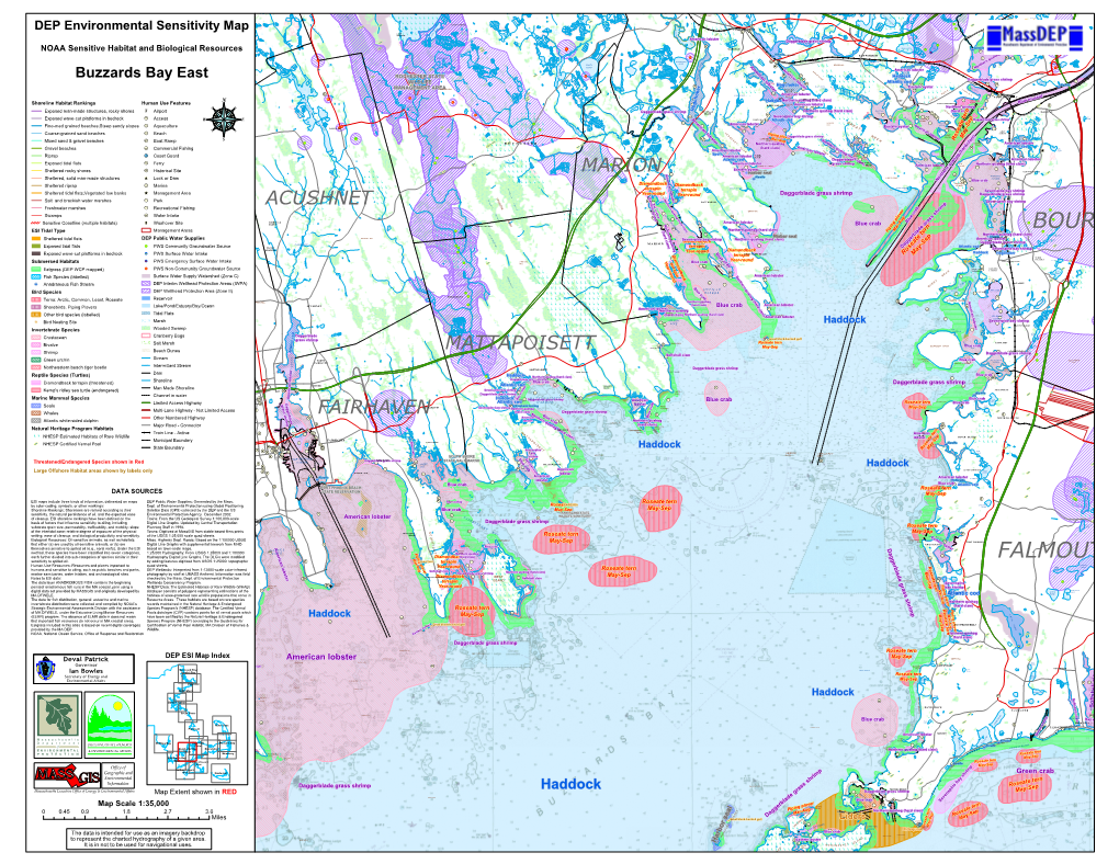 Atlantic Cod5 0 5 D