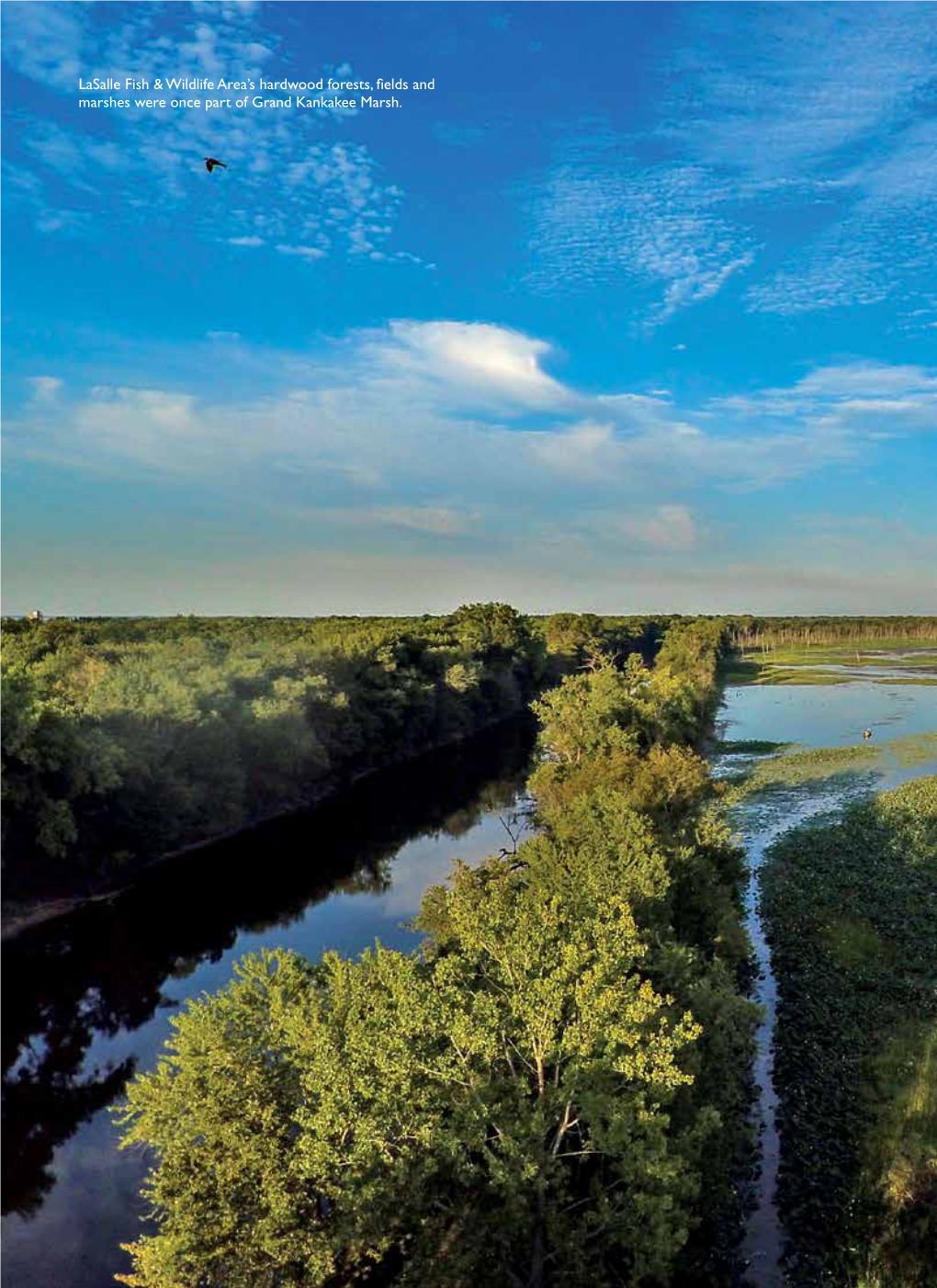 Lasalle Fish & Wildlife Area's Hardwood Forests, Fields And