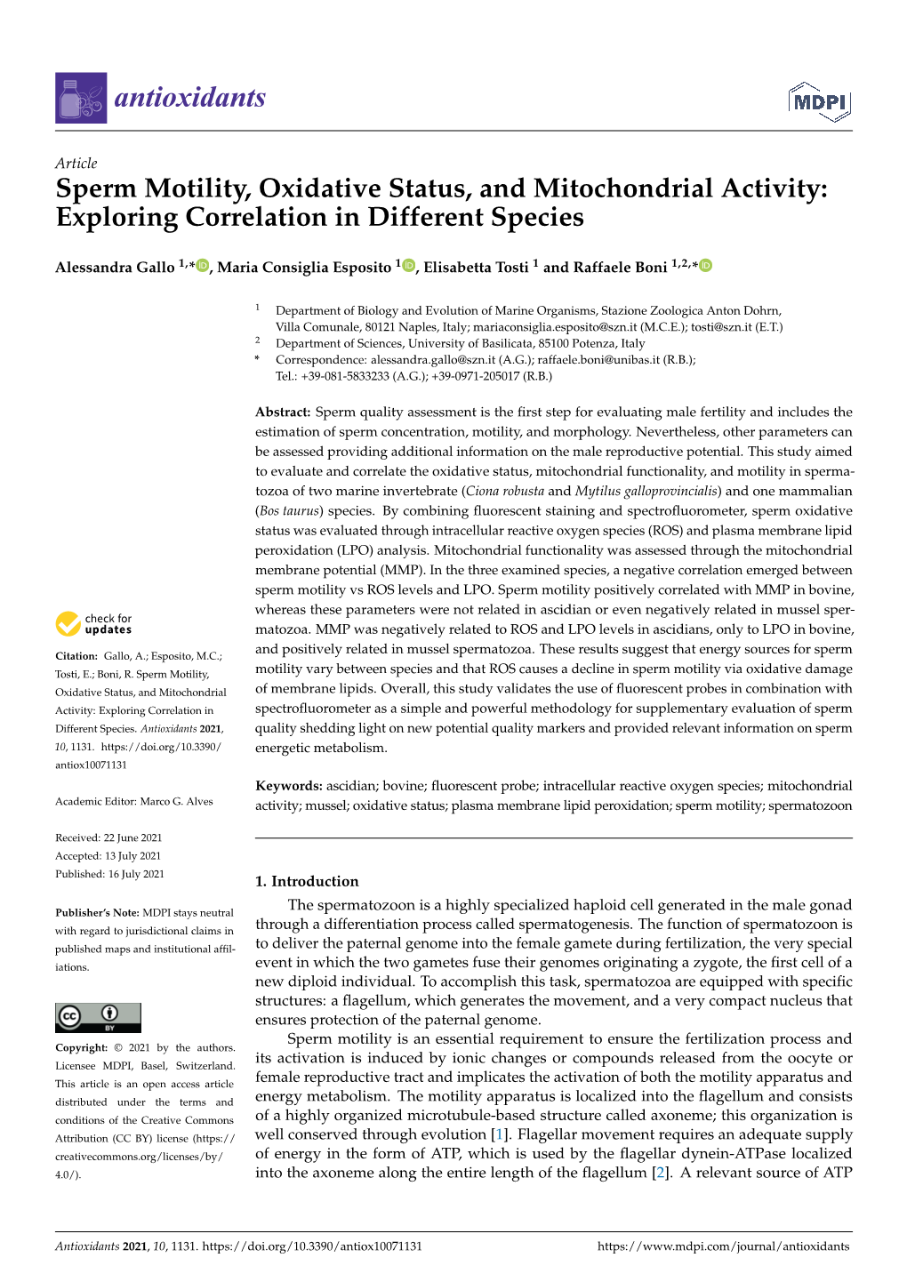 Sperm Motility, Oxidative Status, and Mitochondrial Activity: Exploring Correlation in Different Species