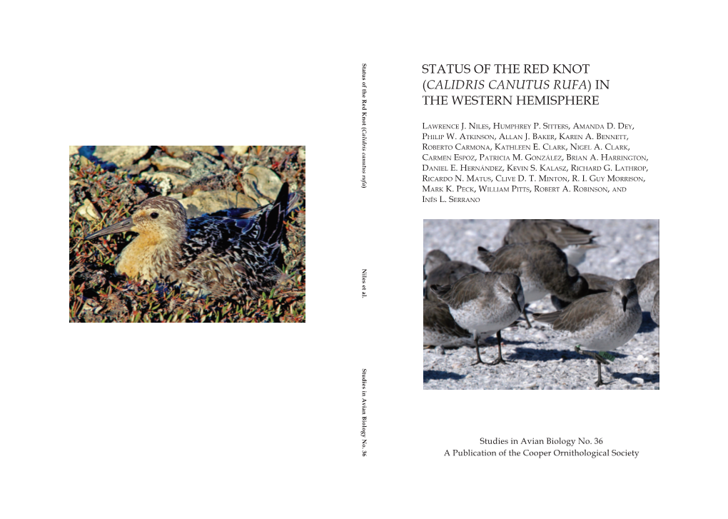 Status of the Red Knot (Calidris Canutus Rufa) in the Western Hemisphere