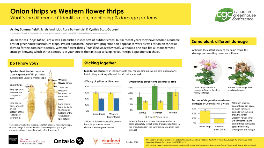 Onion Thrips Vs Western Flower Thrips What’S the Difference? Identification, Monitoring & Damage Patterns