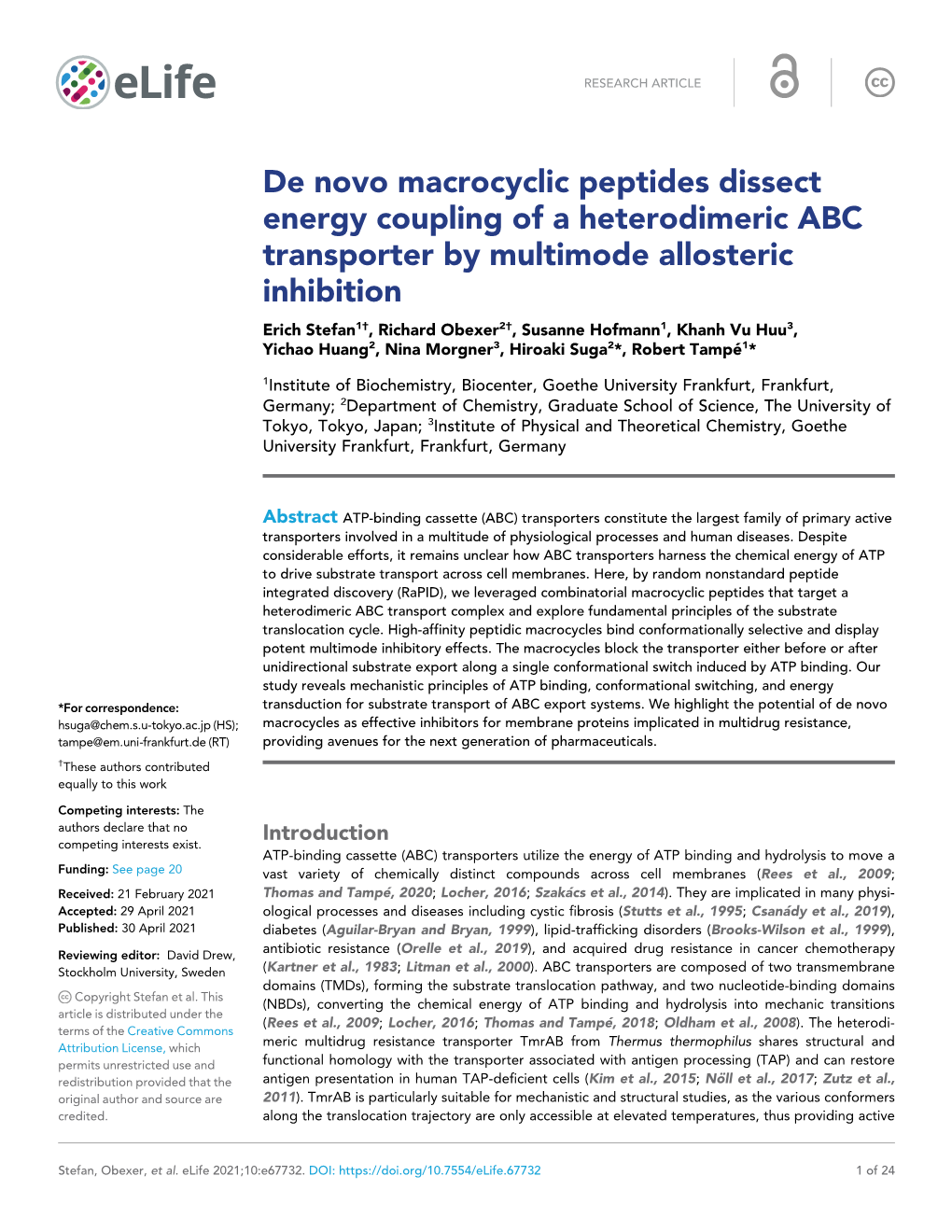 De Novo Macrocyclic Peptides Dissect Energy Coupling of a Heterodimeric