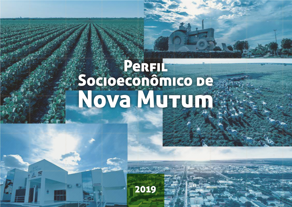 Perfil Socioieconômico De Nova Mutum