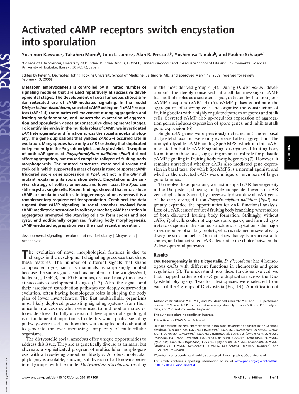 Activated Camp Receptors Switch Encystation Into Sporulation