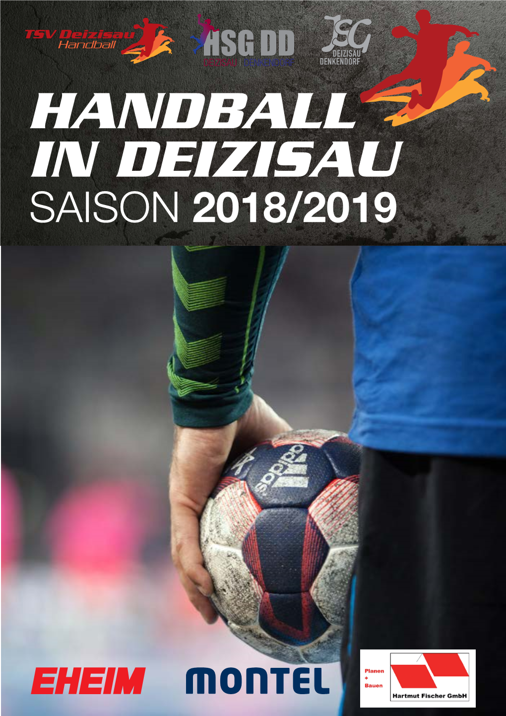 Handball in Deizisau Saison 2018/2019