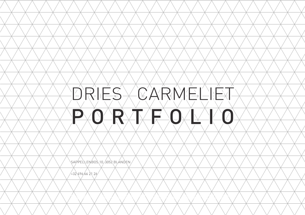 Dries Carmeliet Portfolio