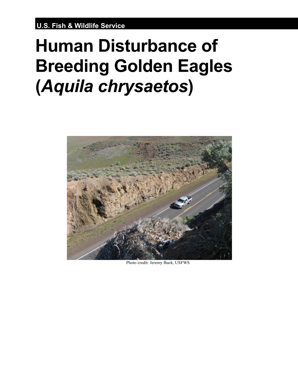 Human Disturbance of Breeding Golden Eagles (Aquila Chrysaetos)