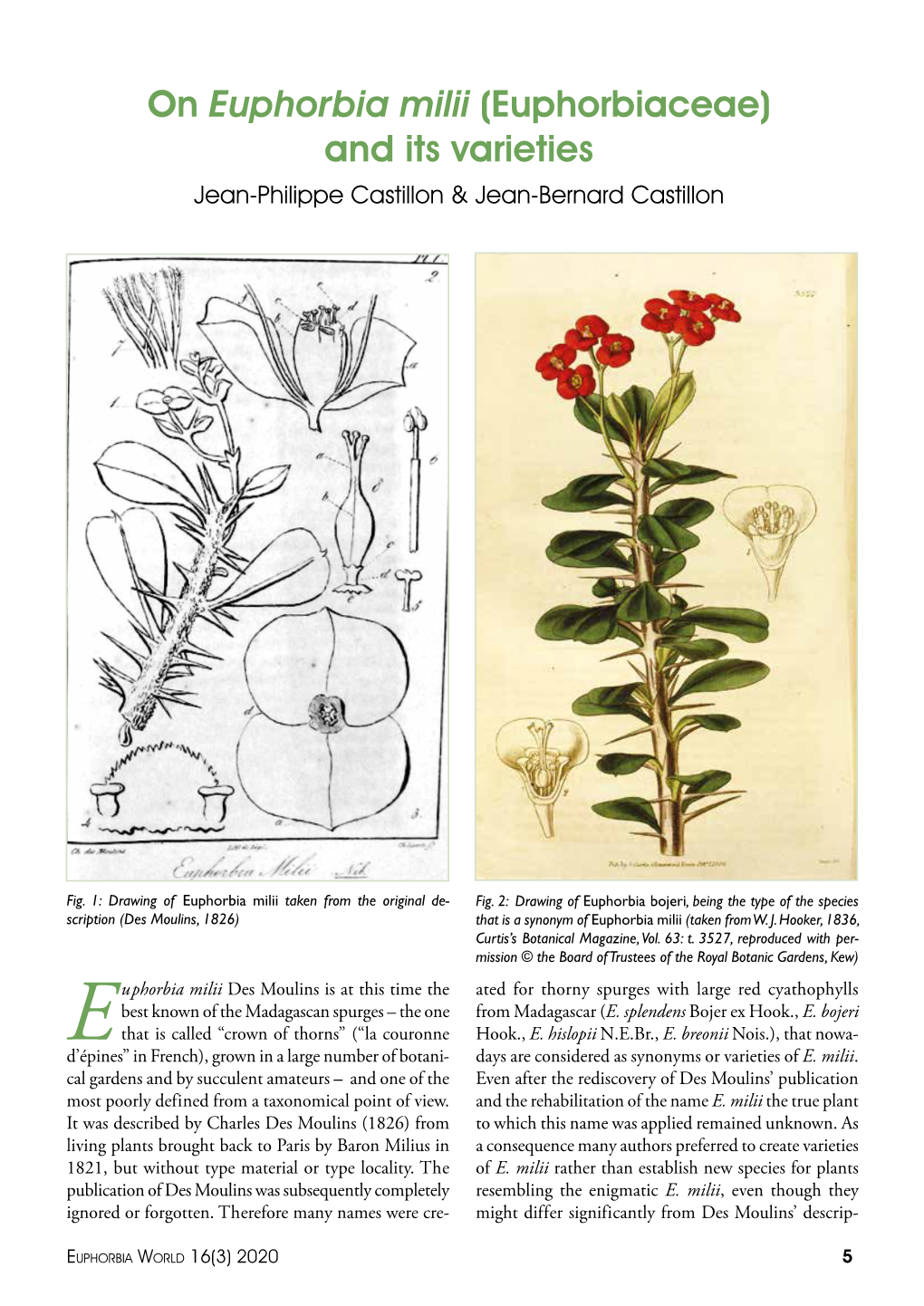 On Euphorbia Milii (Euphorbiaceae) and Its Varieties Jean-Philippe Castillon & Jean-Bernard Castillon