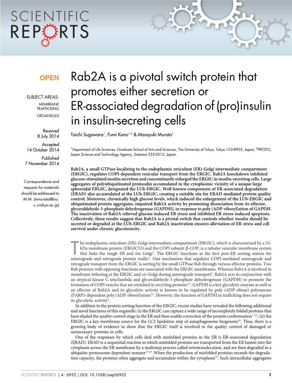 Insulin in Insulin-Secreti