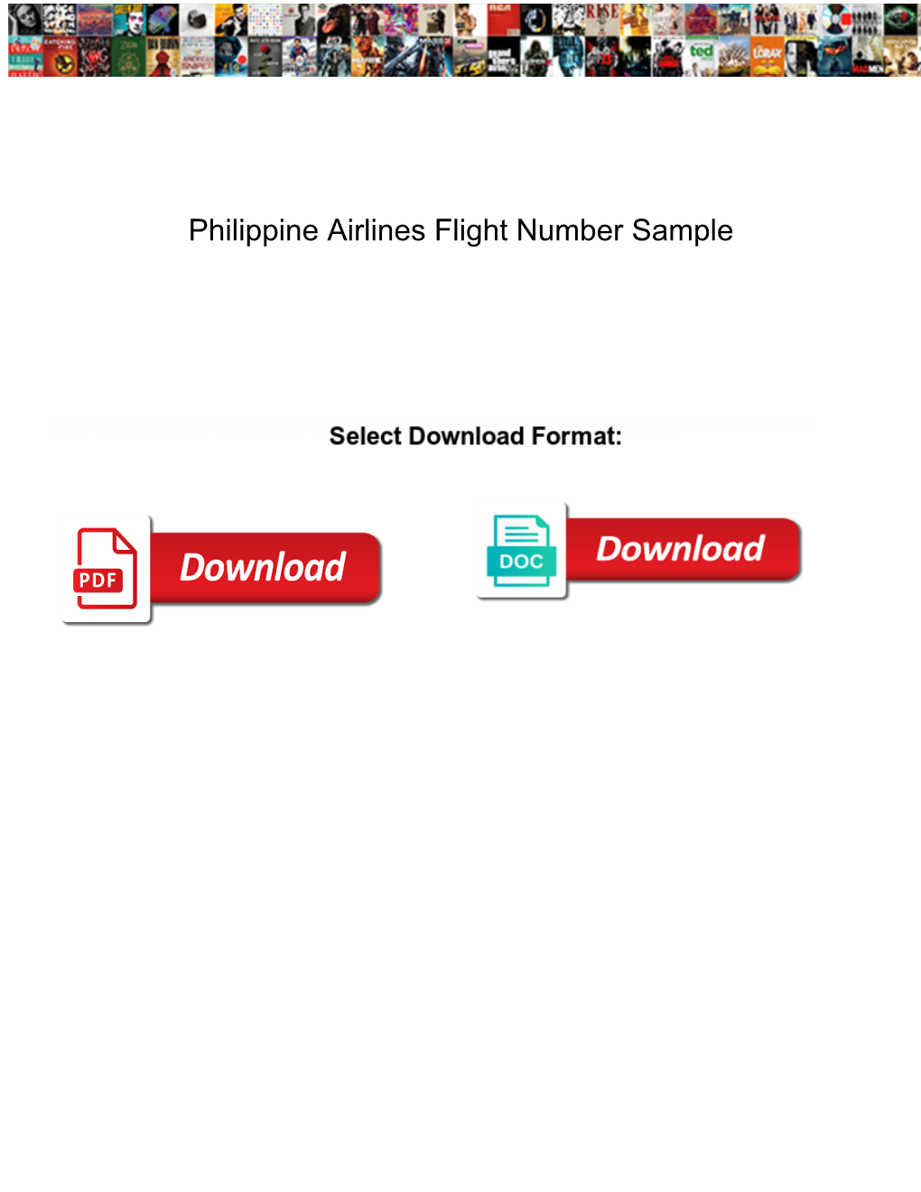 Philippine Airlines Flight Number Sample