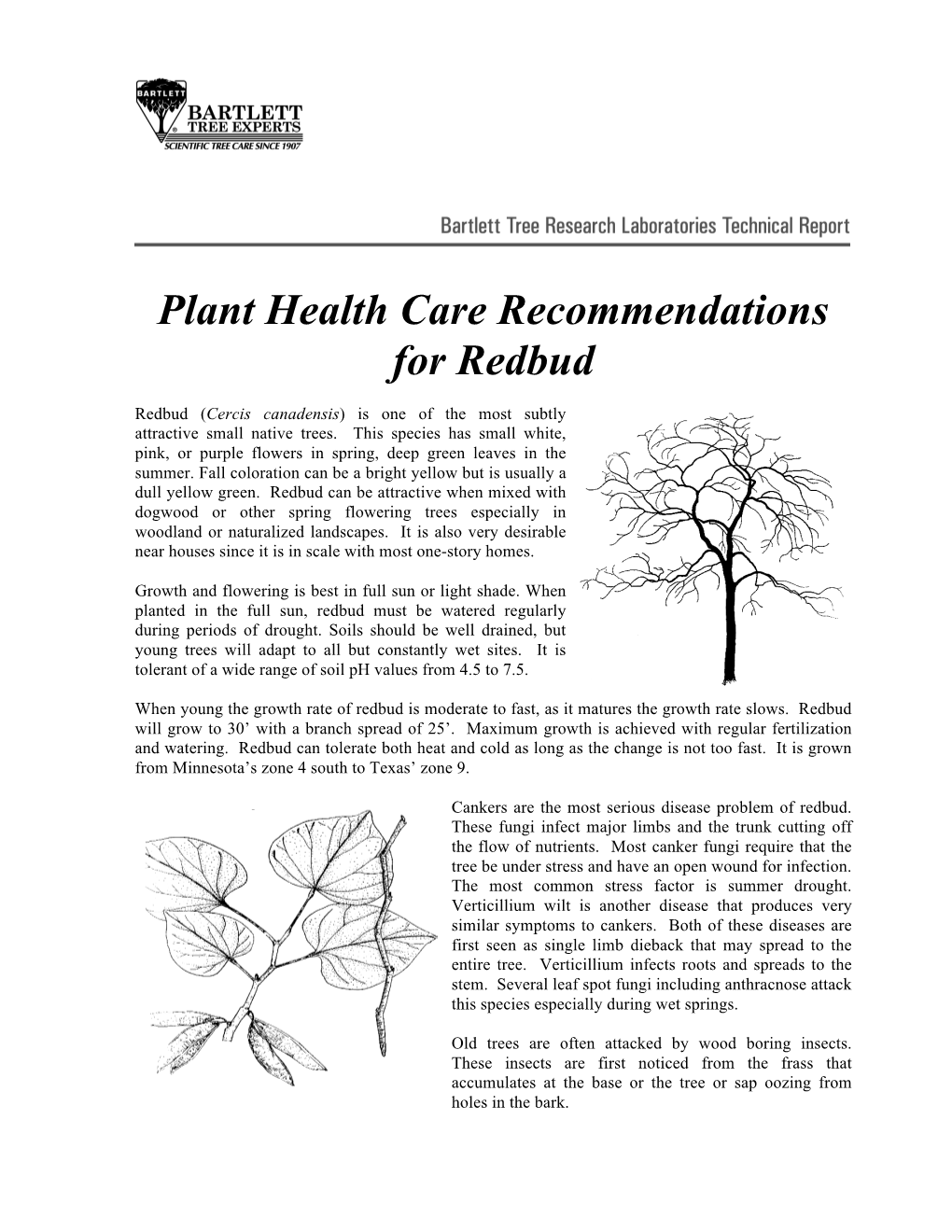 Plant Health Care Recommendations for Redbud