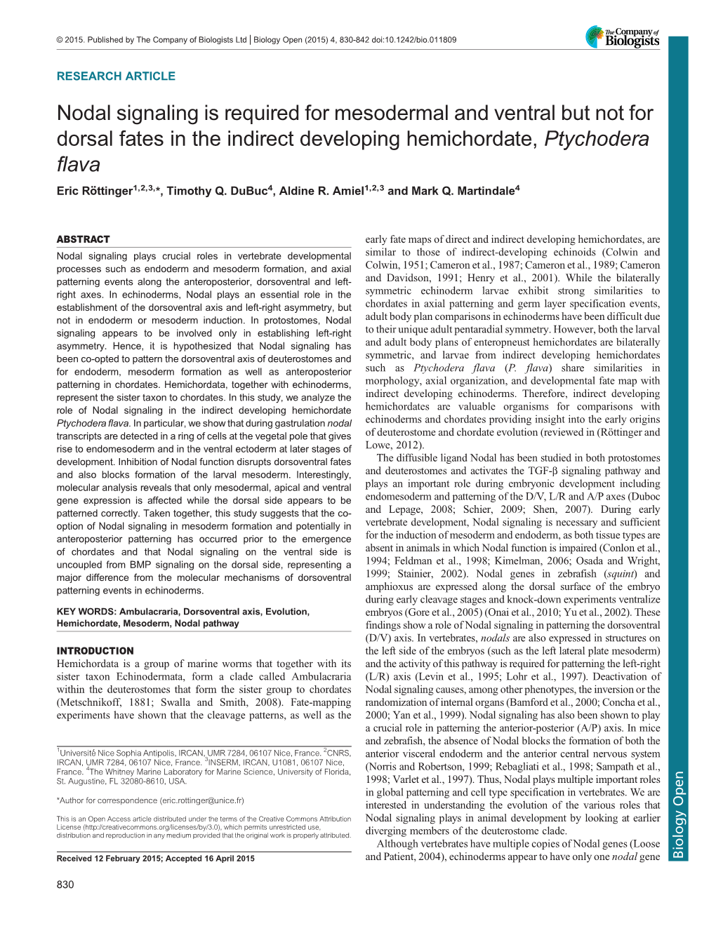 Nodal Signaling Is Required for Mesodermal and Ventral but Not For