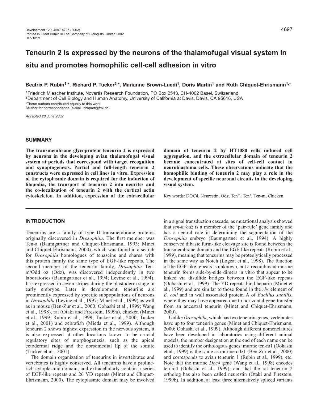 Teneurin 2 in Neuronal Network Formation 4699