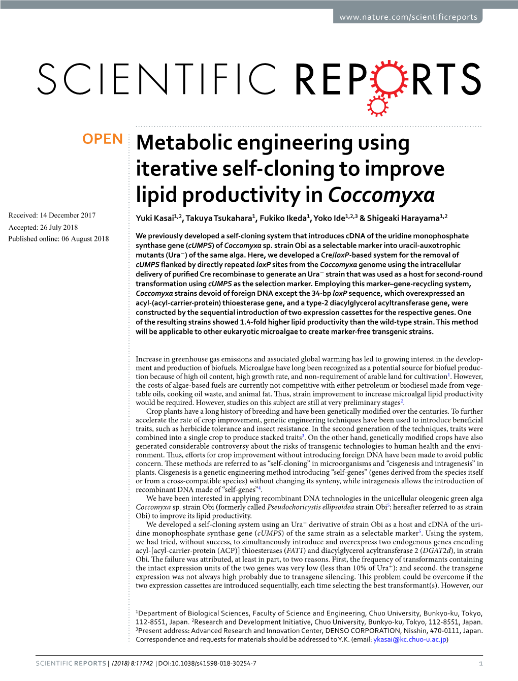 Metabolic Engineering Using Iterative Self-Cloning to Improve Lipid