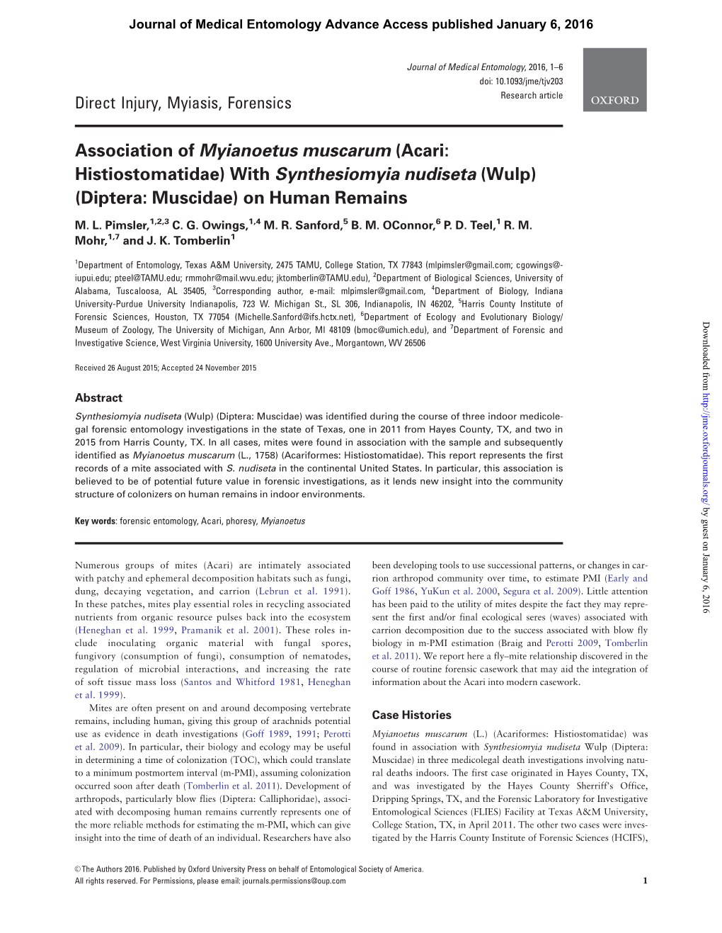 Association of Myianoetus Muscarum (Acari: Histiostomatidae) with Synthesiomyia Nudiseta (Wulp) (Diptera: Muscidae) on Human Remains