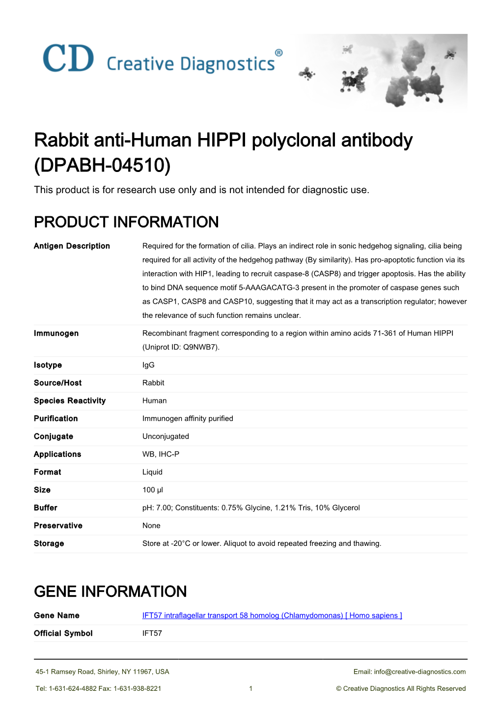Rabbit Anti-Human HIPPI Polyclonal Antibody (DPABH-04510) This Product Is for Research Use Only and Is Not Intended for Diagnostic Use