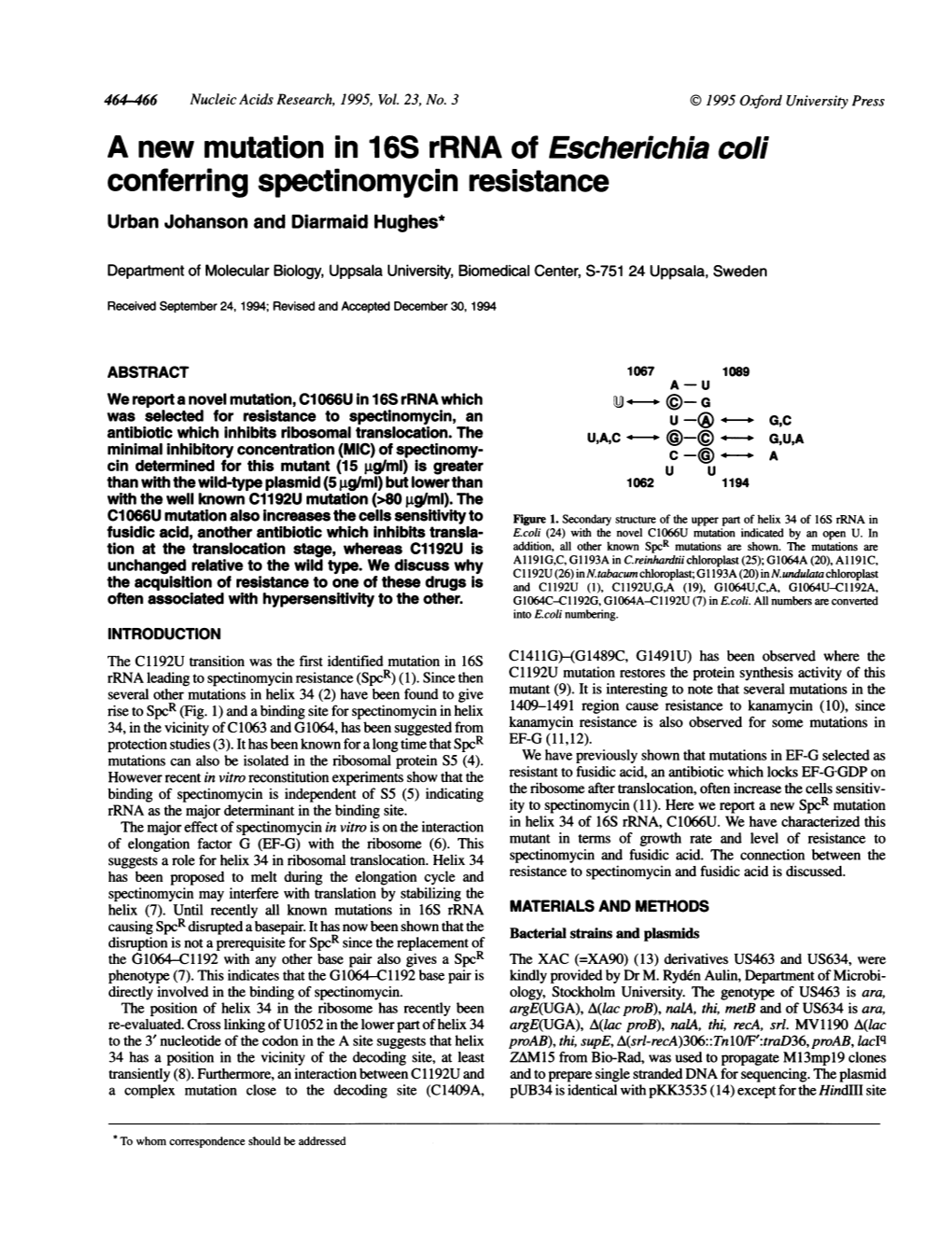 A New Mutation in 16S Rrna Ofescherichia Coli