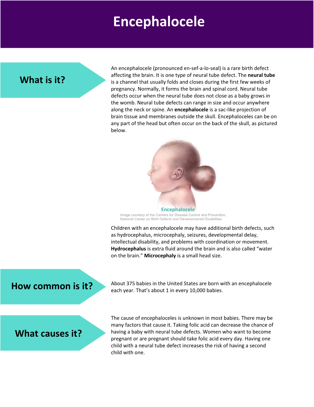 Encephalocele