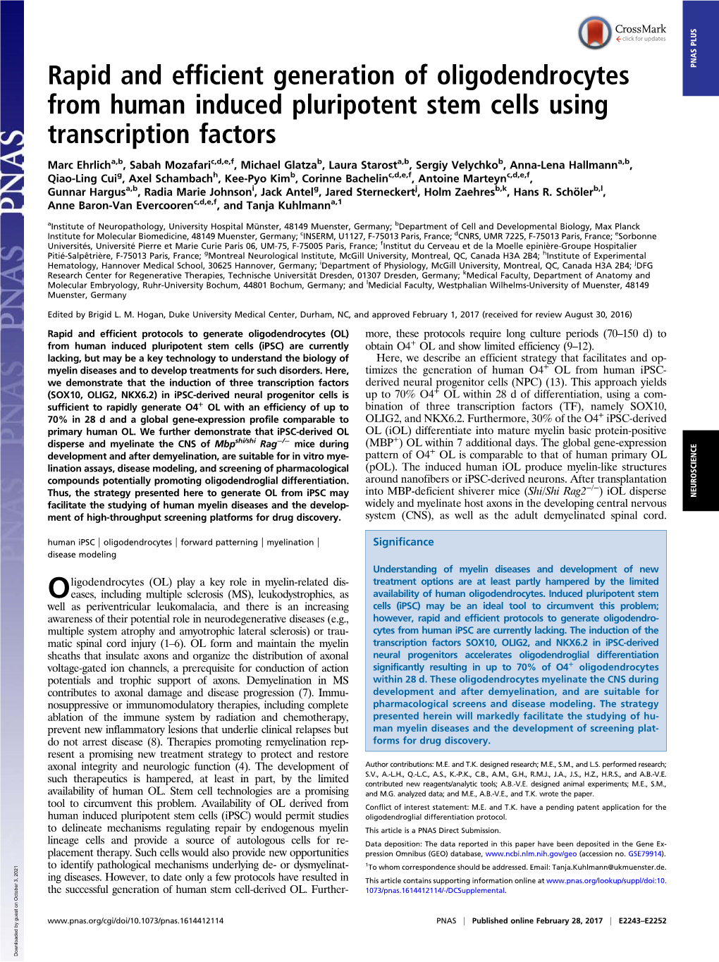 Rapid and Efficient Generation of Oligodendrocytes from Human