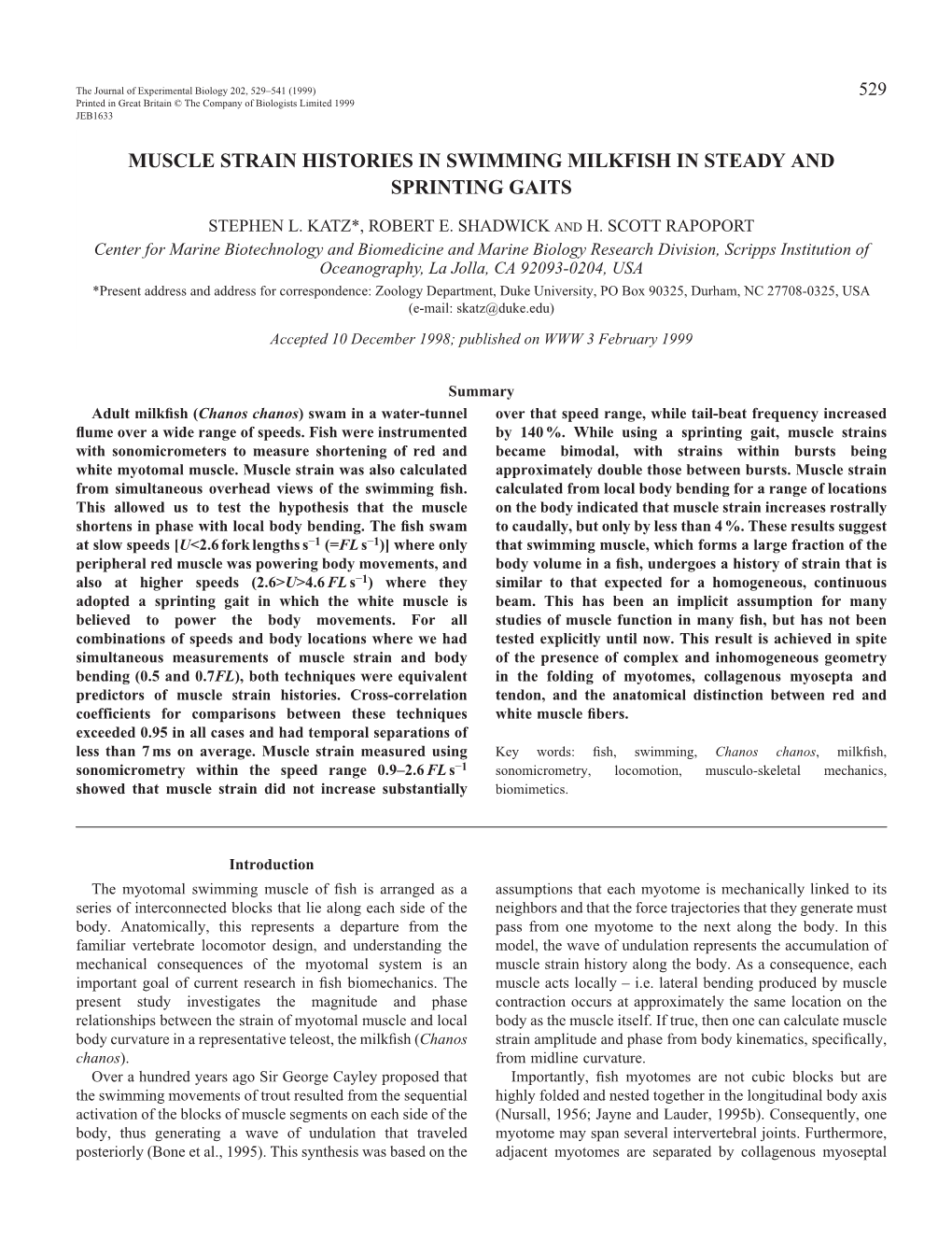 Muscle Strain in Swimming Milkfish