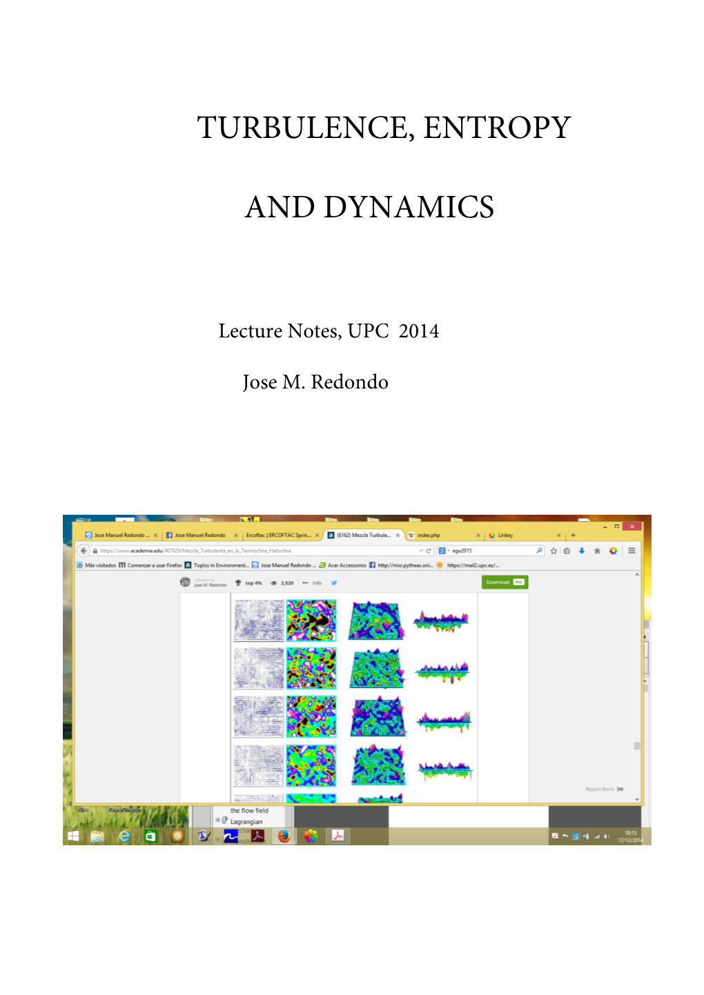 Turbulence, Entropy and Dynamics