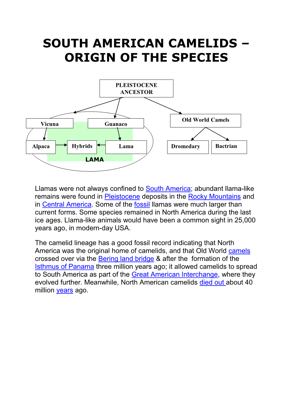 South American Camelids – Origin of the Species