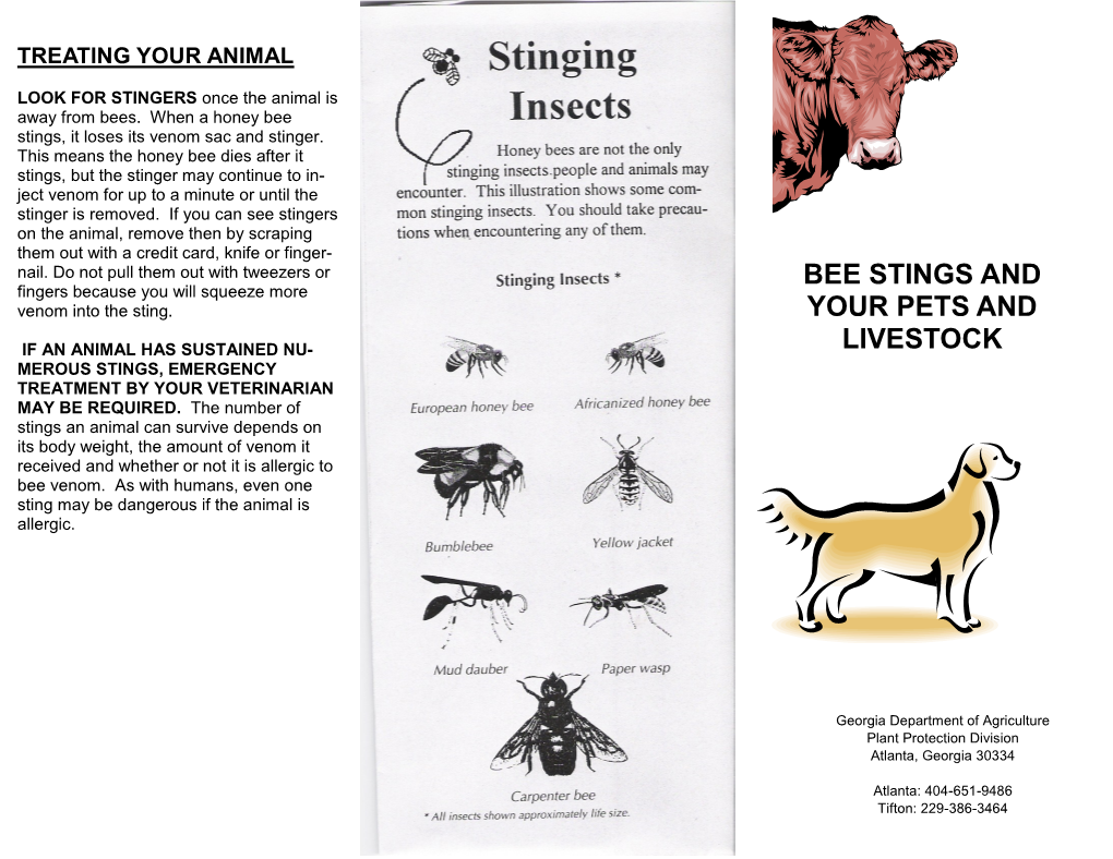 Bee Stings and Your Pets and Livestock