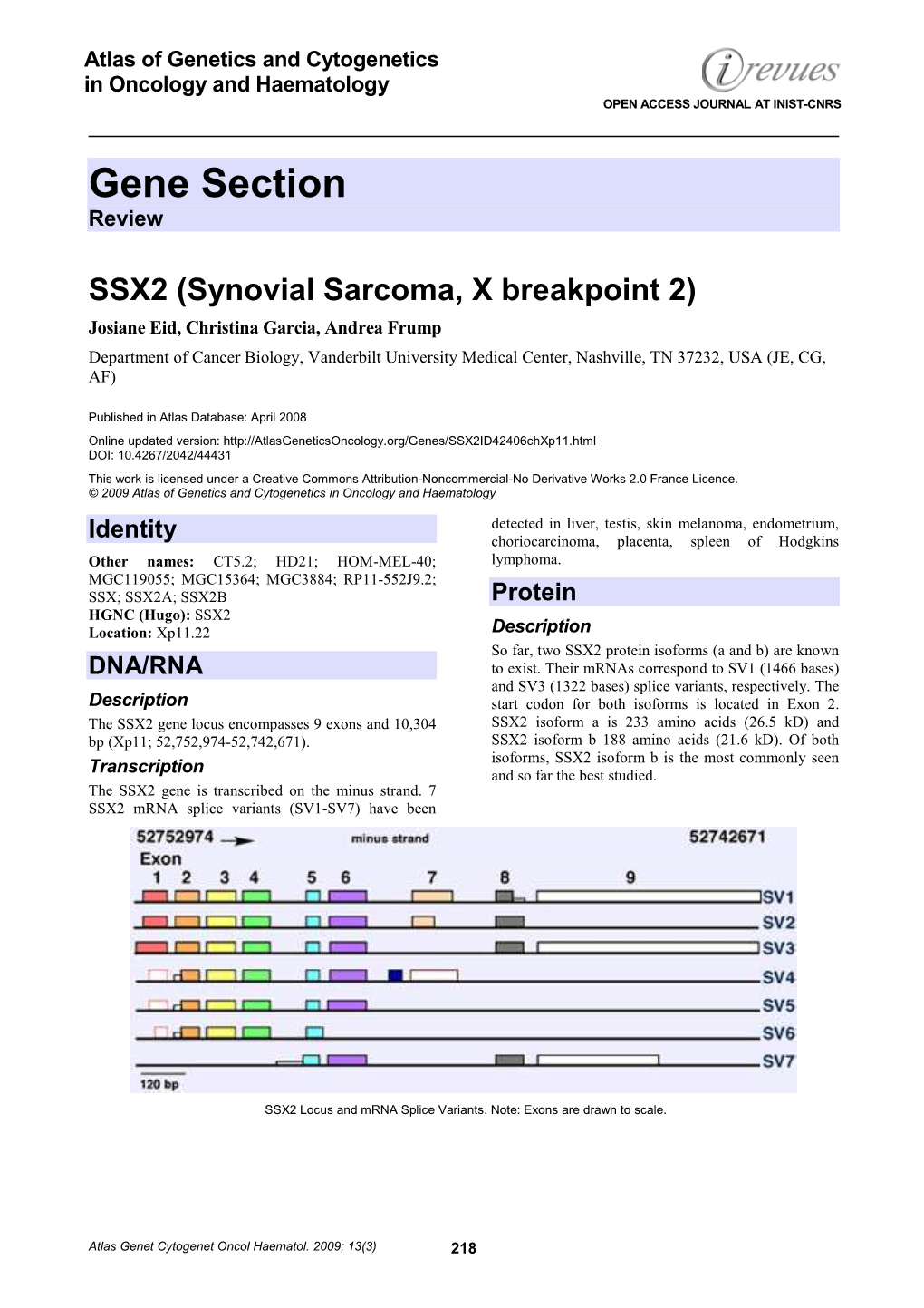 Gene Section Review