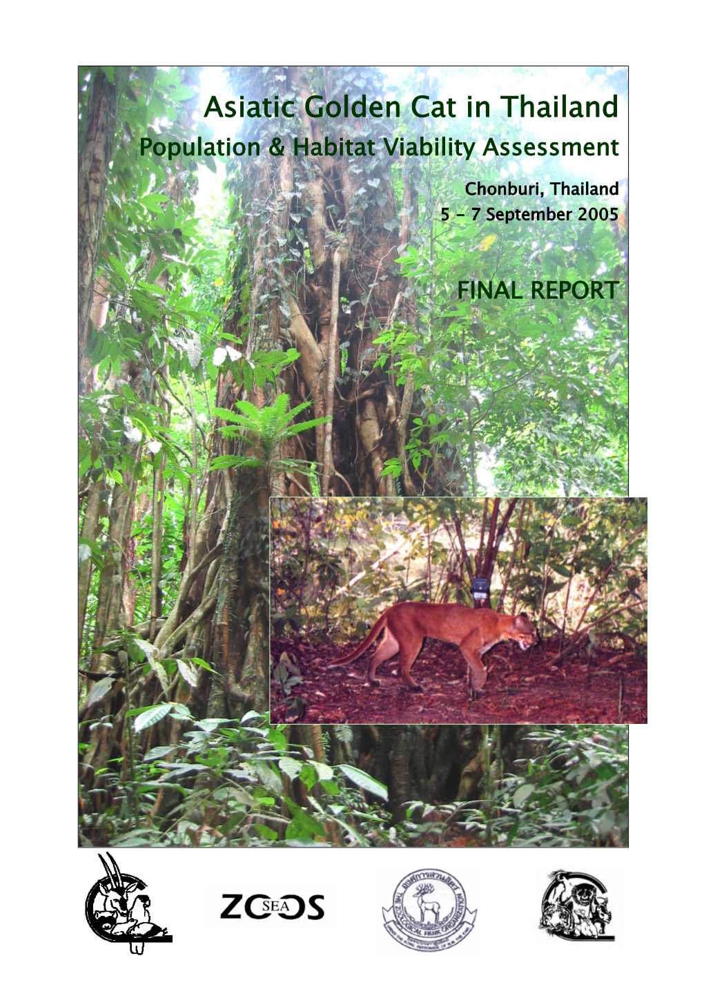 Asiatic Golden Cat in Thailand Population & Habitat Viability Assessment