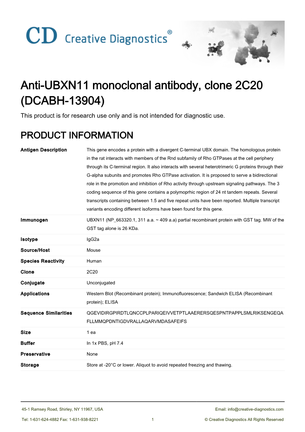 Anti-UBXN11 Monoclonal Antibody, Clone 2C20 (DCABH-13904) This Product Is for Research Use Only and Is Not Intended for Diagnostic Use