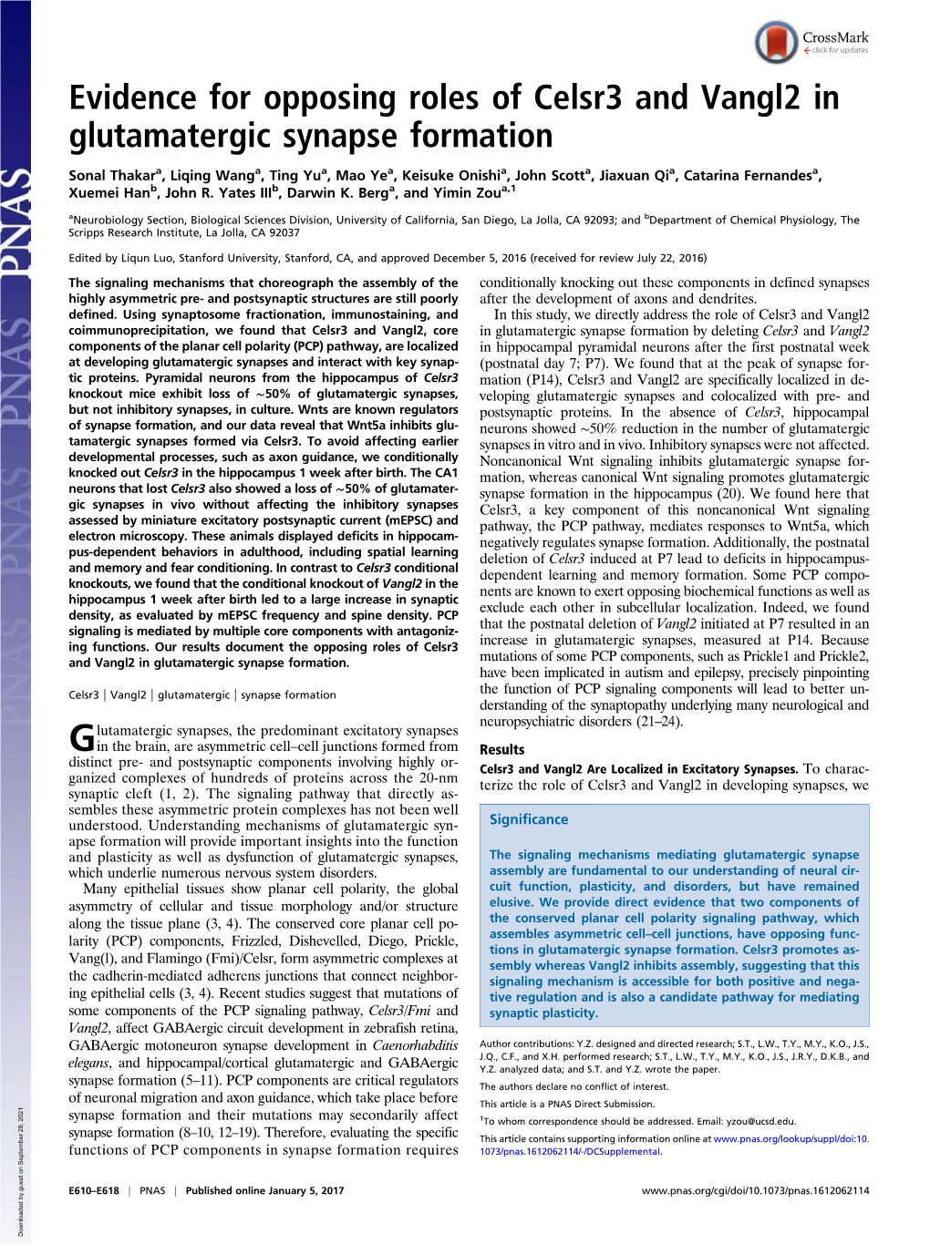 Evidence for Opposing Roles of Celsr3 and Vangl2 in Glutamatergic Synapse Formation