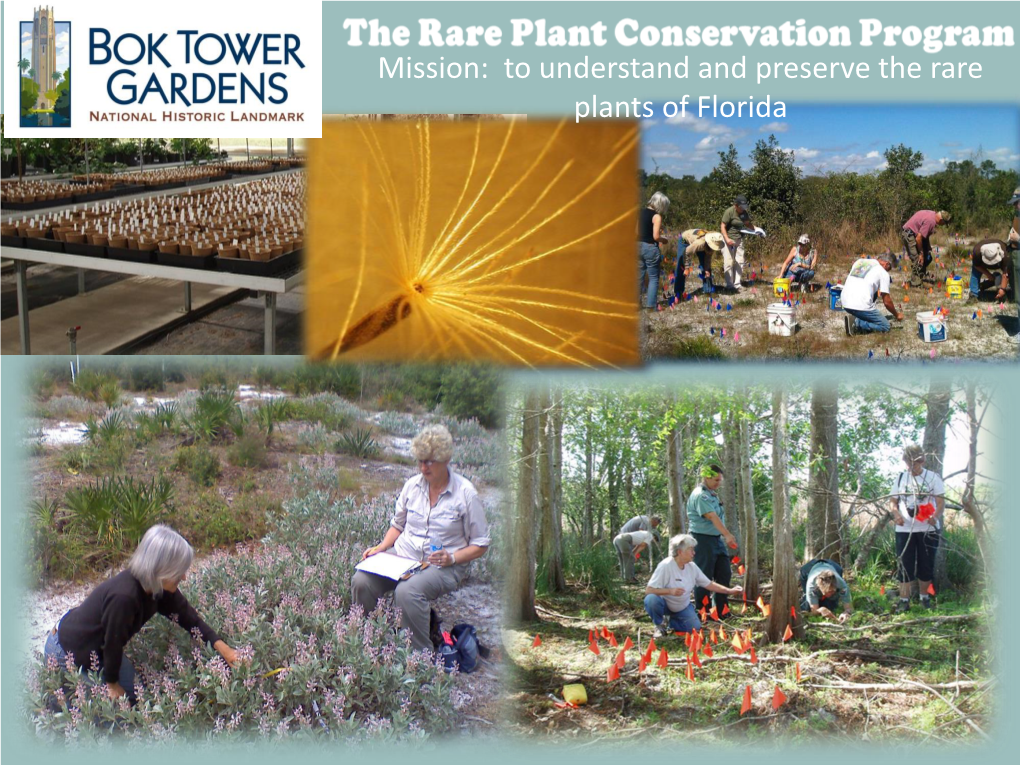 Bok Tower Gardens Rare Plant Conservation Program