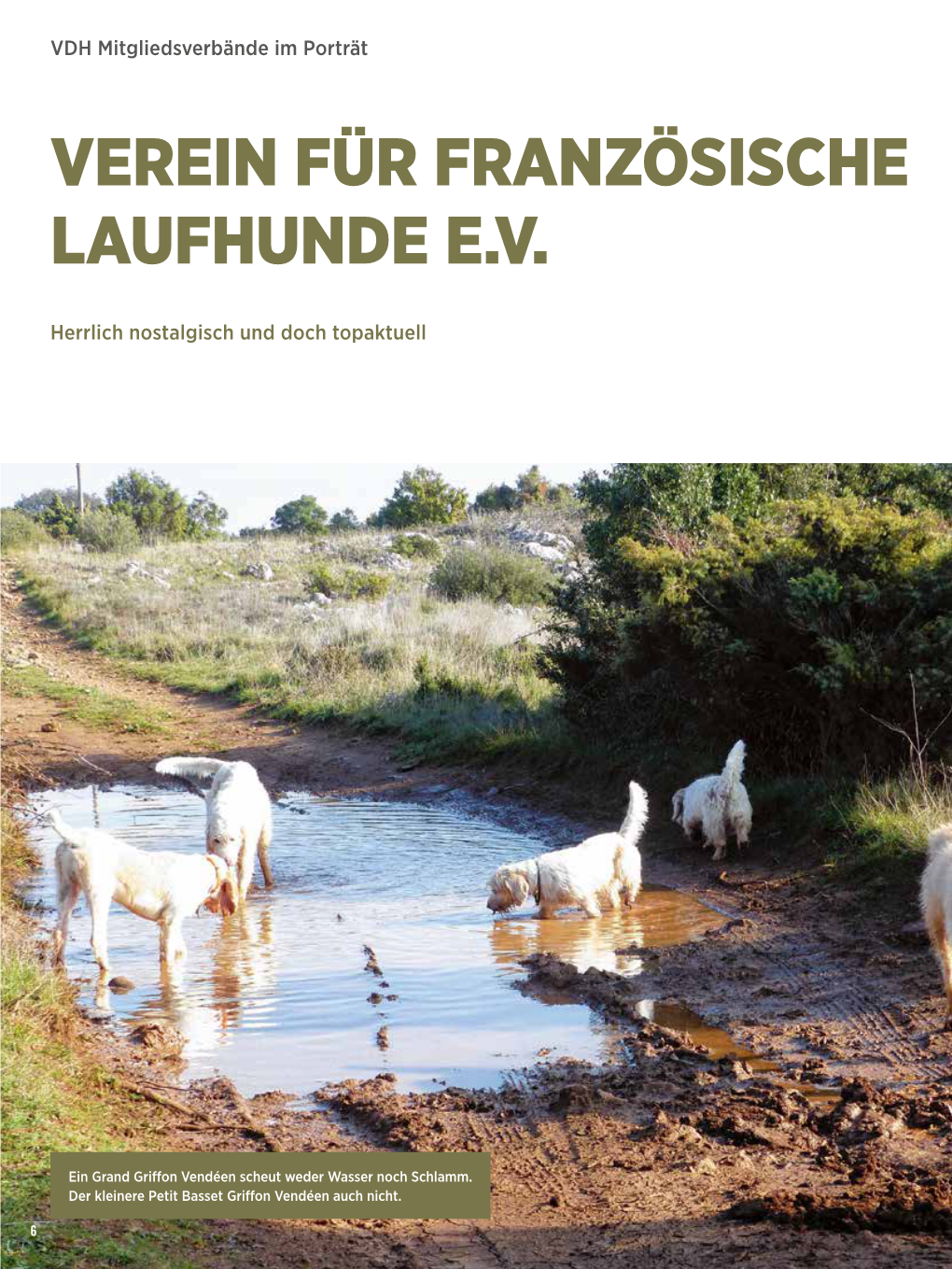 Verein Für Französische Laufhunde E.V