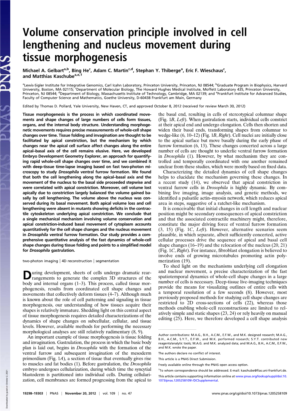 Volume Conservation Principle Involved in Cell Lengthening and Nucleus Movement During Tissue Morphogenesis