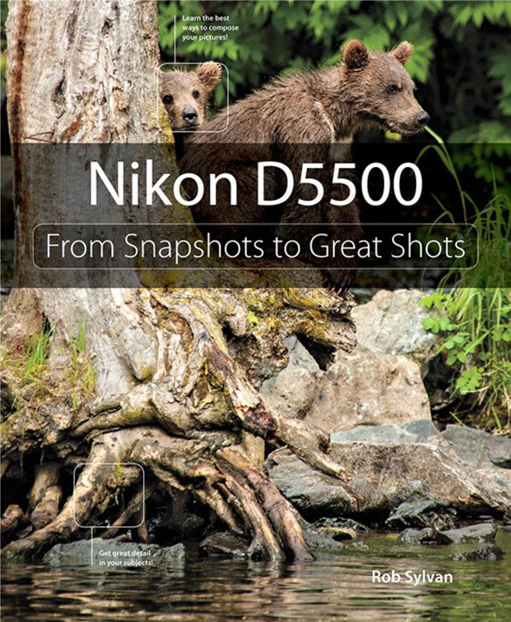 Nikon D5500: from Snapshots to Great Shots